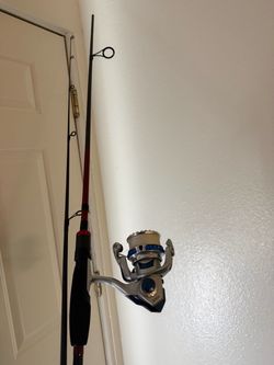 Daiwa Laguna Combo