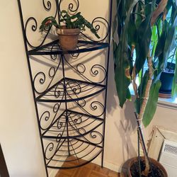 Corner Wrought Iron Plant Stand 