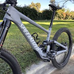 Specialized Carbon Bike 