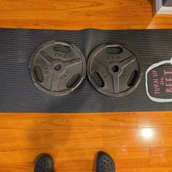 TSA 45 POUND WEIGHTS