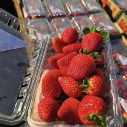 Fresh Strawberries For Sale 