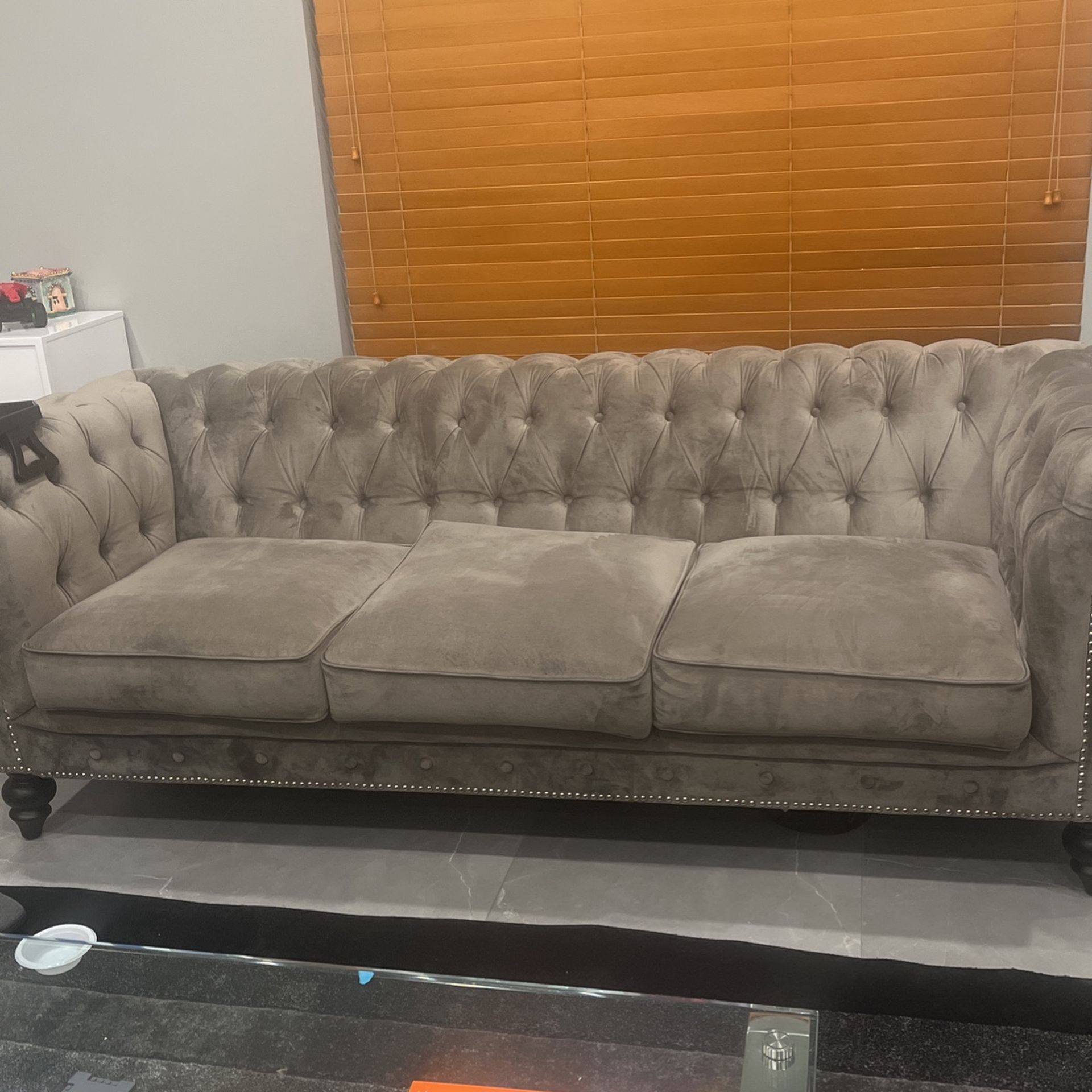 Comfortable Elegant Modern Sheek Couches