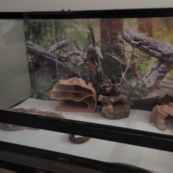 Zoo Med Naturalistic Front Opening Reptile Terrarium