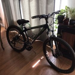 Trek Mountain Bike