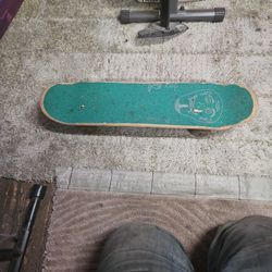 Skate Board
