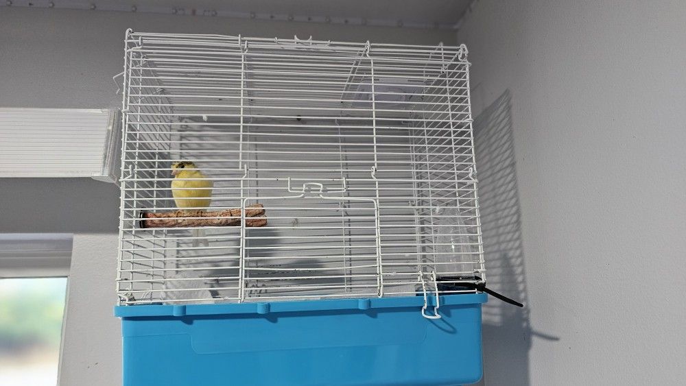 Canary Bird Cage 