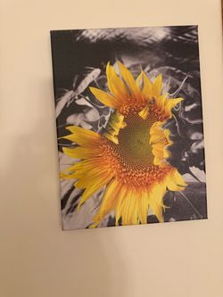 Sunflower Canvas Wall Art
