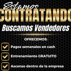 Vendedor 👨‍💼 