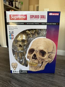 Supreme 4D Master Exploded Skull Anatomy Model Gold Grills