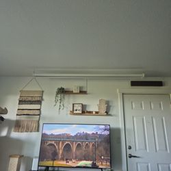 Projector Screen