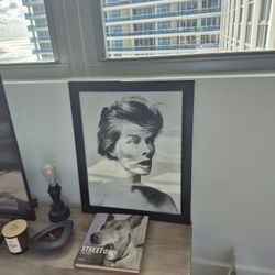 Kate Hepburn.Twiggy. Bridget Bardot Beautifully Framed Photography