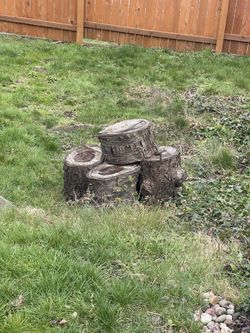 Cherry wood & fir
