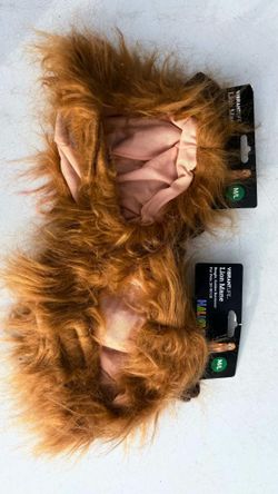 Pet costume lion Maine m-l 2 available $5 each
