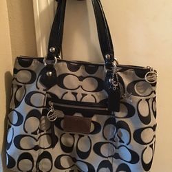 Large Coach Poppy Purse (authentic)