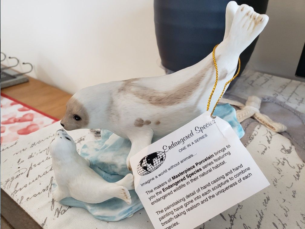 Harp Seals Endangered Species Collection