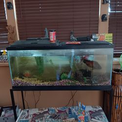 55gallon Fish Tank With Fish Stand And Other Accessories 