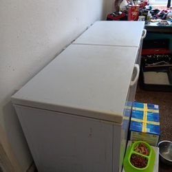 Maxx Cold,Write, Bigger 