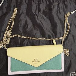 Coach Envelope Wallet With Chain 