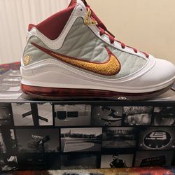 Size 11.5 Nike LeBron 6 QS
