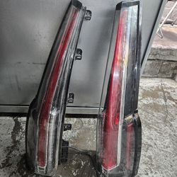 Rear Tail Lights