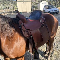 circle Y high horse little river saddle