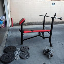 Weightlifting Bench and Weights