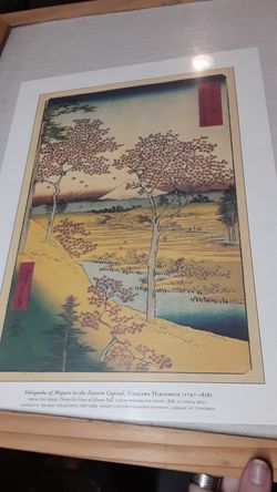 Stunning japanese prints only $20
