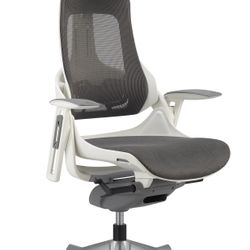 Eurotech Gaming/Office Chair