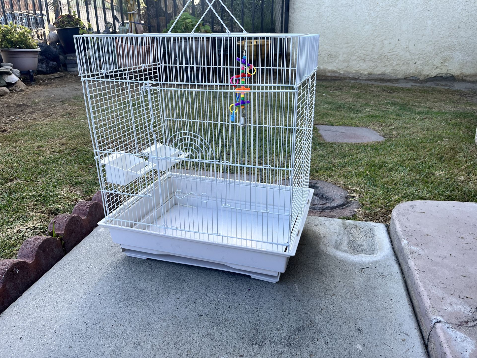 Bird Cage