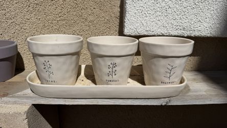 Herb planter with tray