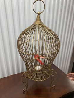 Love birds in brass cage