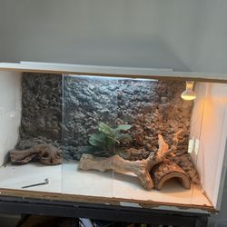 Terrarium Reptile