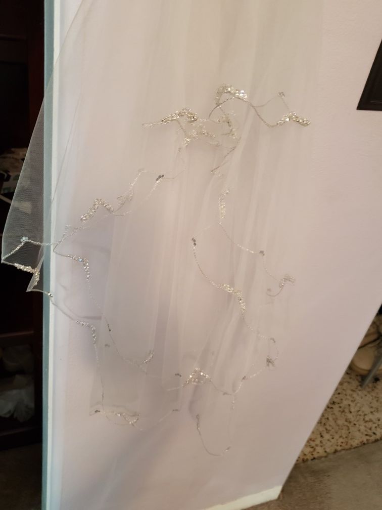 David's bridal 2 layered scallop veil