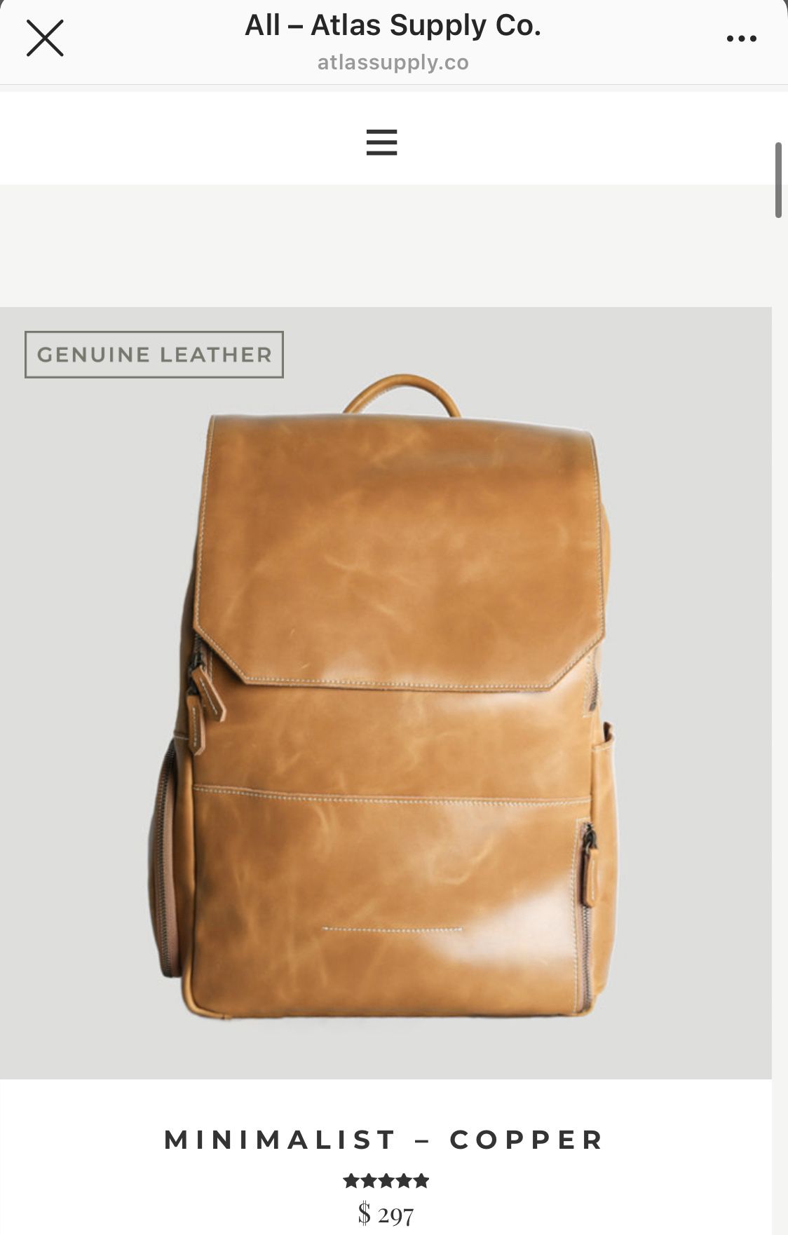Atlas Supple leather camera bag backpack