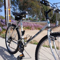  DIAMONDBACK Sorrento  Medium 