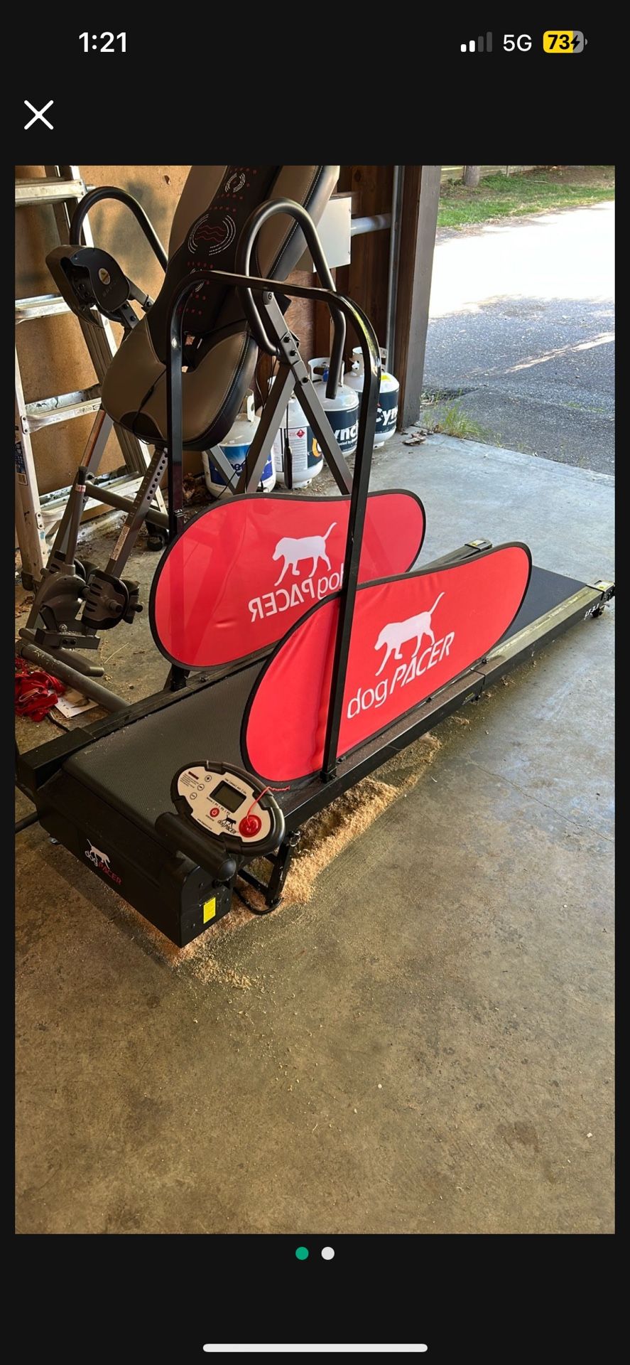FREE pacer Treadmill For A Dog