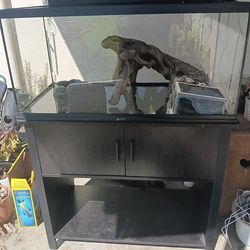 Reptile enclosure with stand