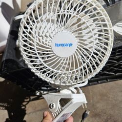 Rotating Fans (3) Used For Growing