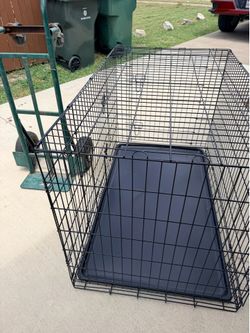 Big dog kennel