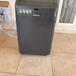 Hisense Dual Hose Portable Air Conditioner 550 sq. ft large room, 10,000 BTU