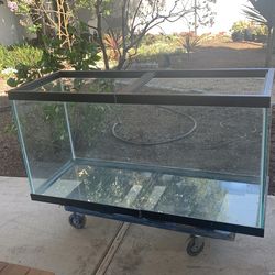 Aquarium Tank