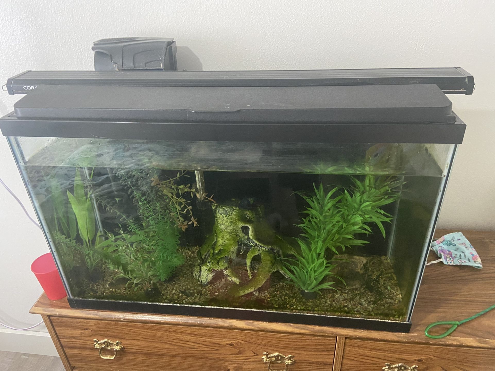 Glass Aquarium 29 Gallon Aquarium Hood Light Glass Canopy