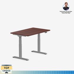 Flexispot Standing Desk Electric 48”x30”
