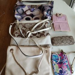 Women's Handbag And Accessories 