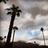 Coachella Sales/Barter