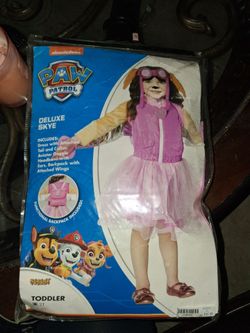 Paw patrol sky