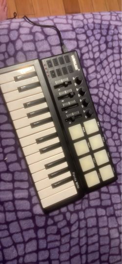 Worlde Panda mini Portable mini 25-Key USB Keyboard and Drum Pads.