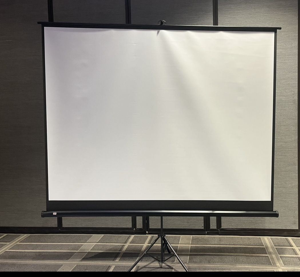 100" inch Projector Screen