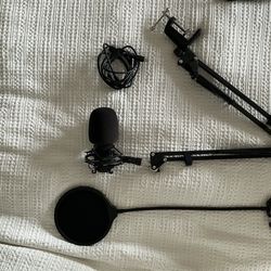 Professional mic with standing arm