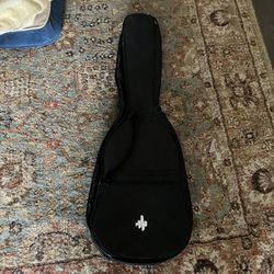 Electric Guitar Gig Bag